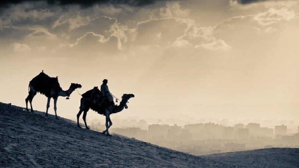 ما سبب مقاومة العرب لفيروس كورونا؟ شيء يوجد في أجساد العرب ولا يوجد لدى الغرب